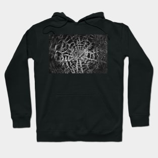 POLLUTION SPIKE! Hoodie